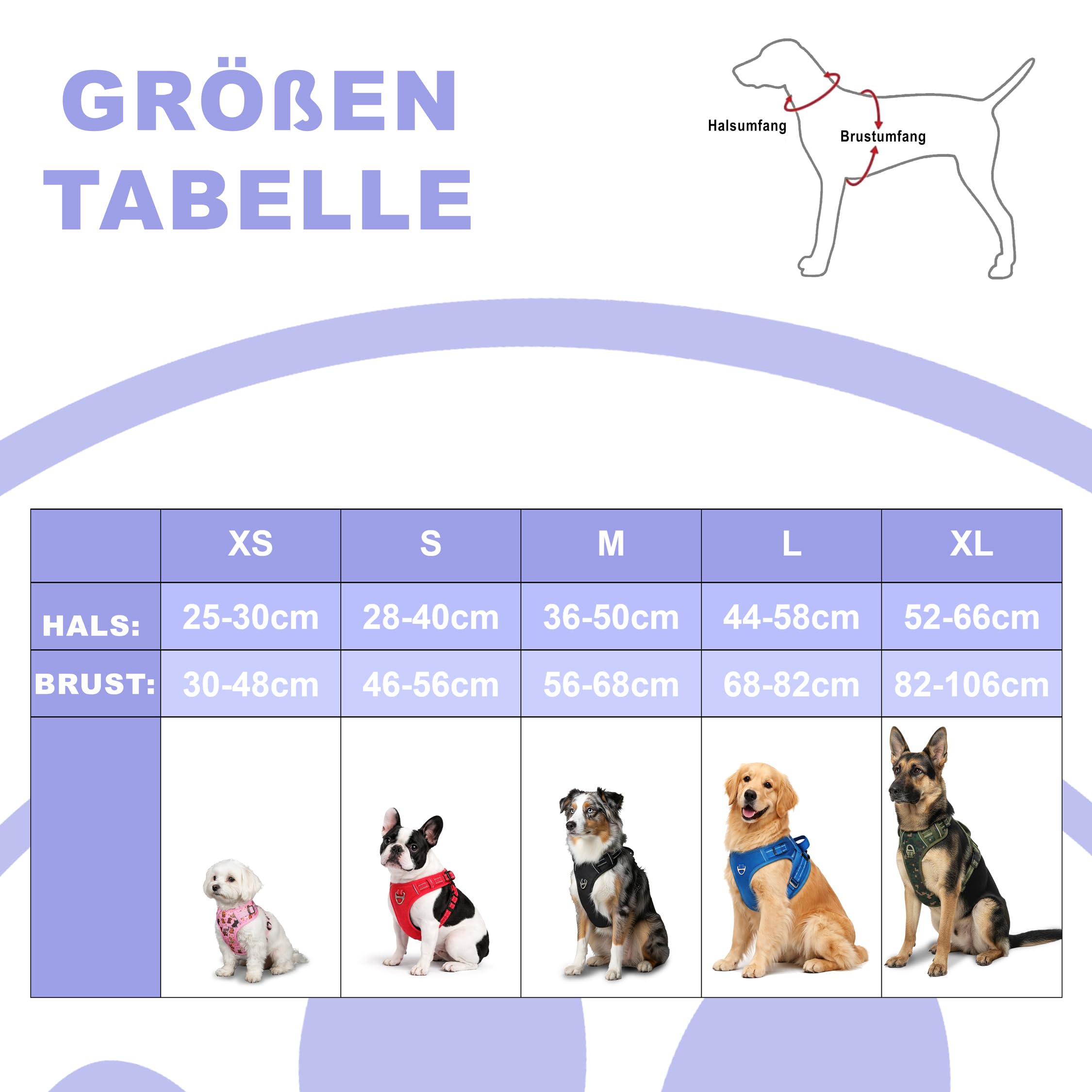 Reichstadt Pets Hundegeschirr Mittlere Hunde 25RSP083 Blue M | Verstellbares No-Pull Geschirr mit Griff & Reflektoren | Atmungsaktiv, Gepolstert & Strapazierfähig | Sicherheitsgeschirr