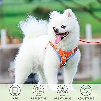 Vista 3 de Patas Lague Arnés para perro sin tirones con correa, arnés reflectante ajustable para perros medianos, arnés para mascotas con chaleco acolchado