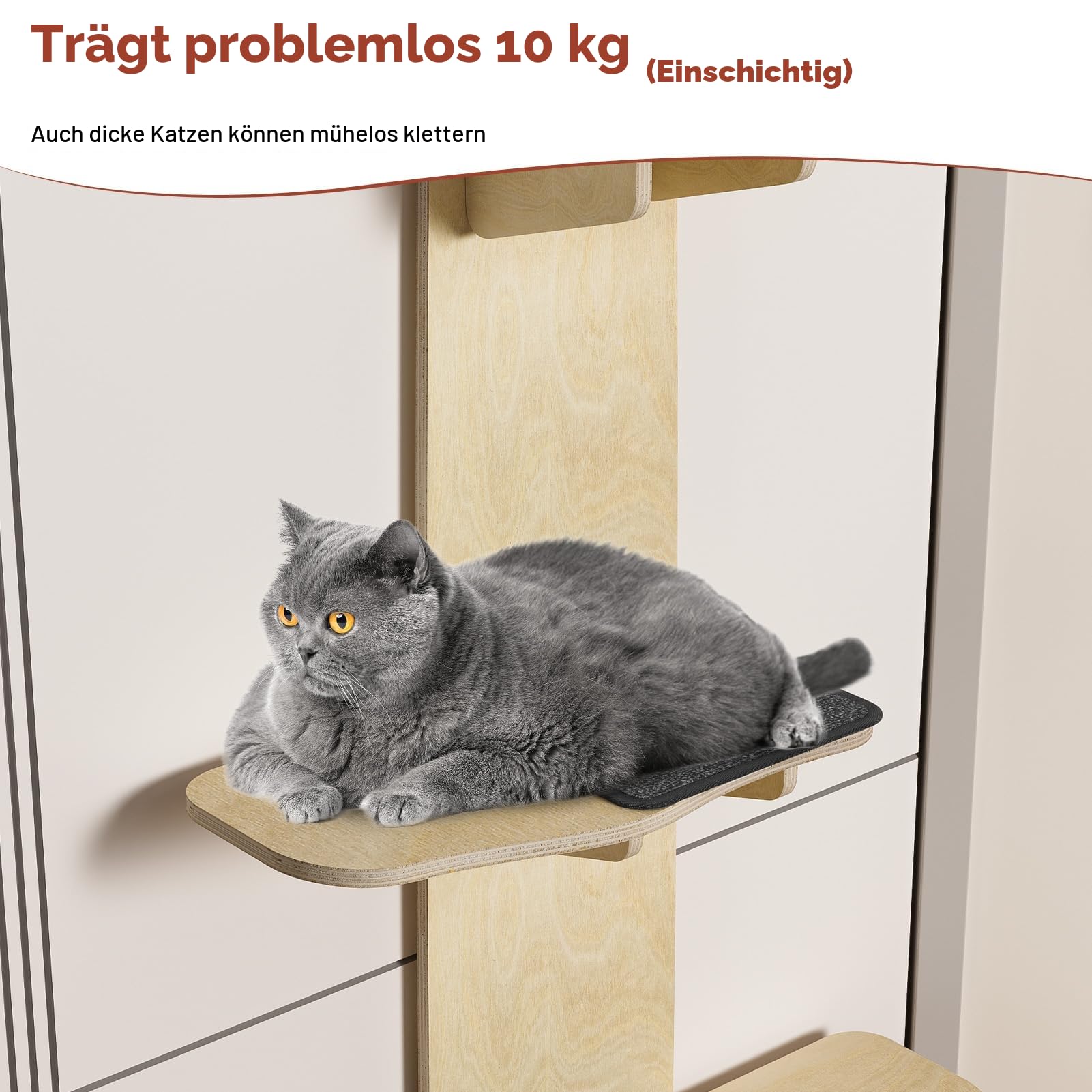 4 Ebenen Tür Hängende Katze Kletterer Tür Katzenbaum, Tür Hängende Katzen Regal Katzen Leiter mit Kratzbaum necken Katzenball Einfach zu Installieren Platzsparend 42cm*23cm*170cm