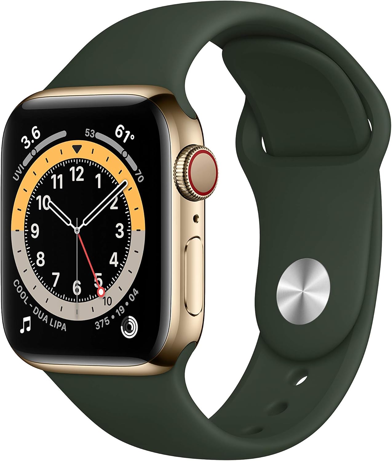 Apple Watch Series 6 (GPS + Cellular, 40mm) - Gold Stainless Steel Case with Cyprus Green Sport Band (Renewed)