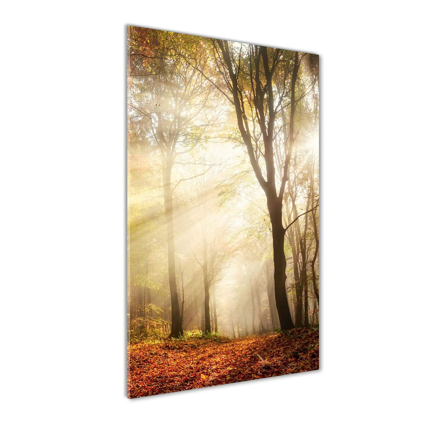 Tableaux pour la mur en verre acrylique orange motif paysage d'automne Tulup
