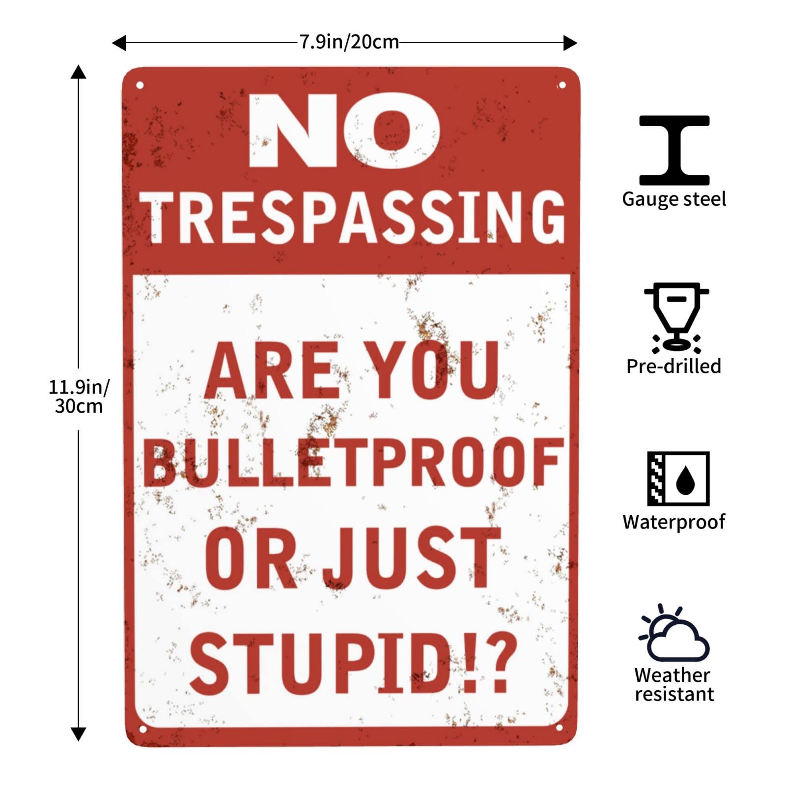 Lustiges Metall-Schild „No Trespassing“ – Mit Spruch, 20x30 Cm, Perfekt Für Garten, Garage & Wanddekoration
