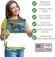 Vista 1041 de Razas de Perros 2017