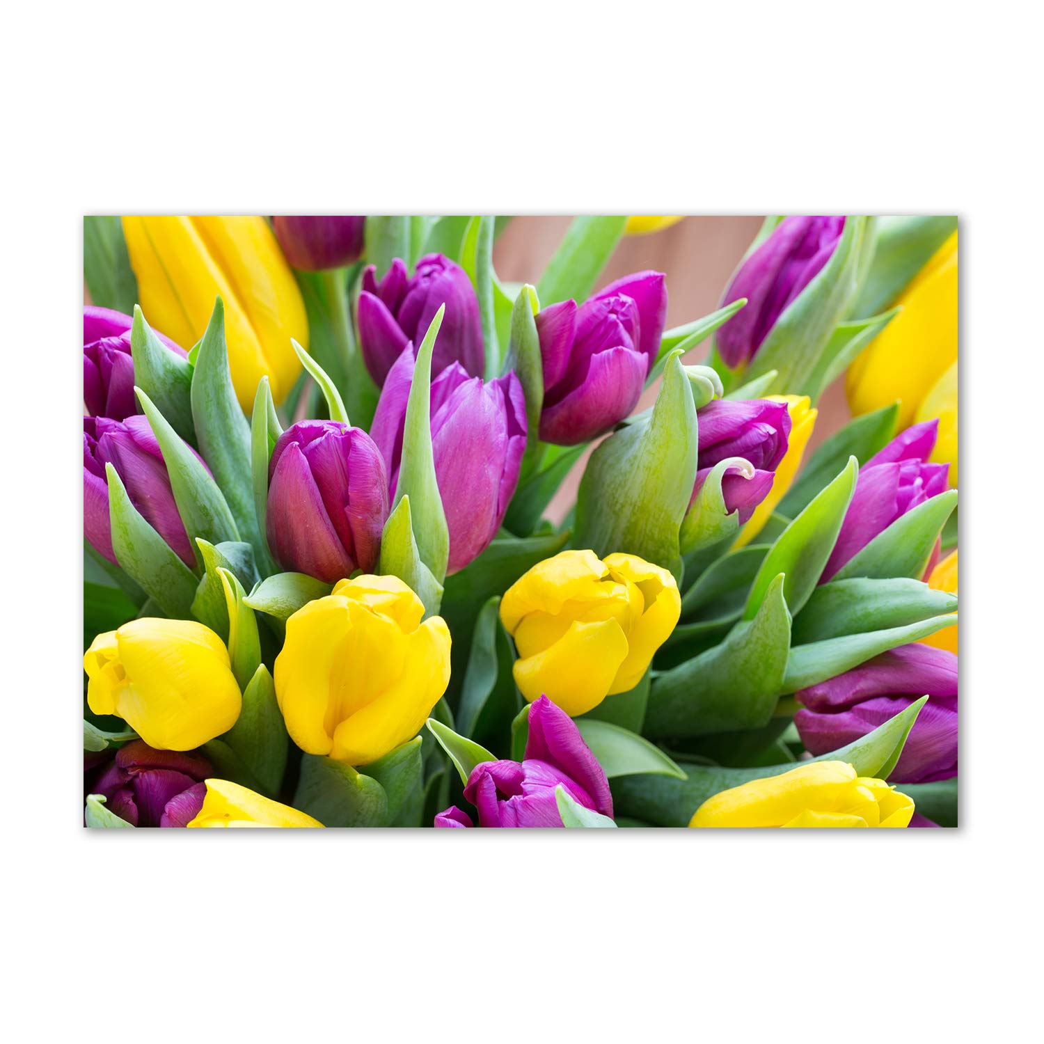 Tableau plexiglas tulipes incassable pour décorer les pièces humides en sécurité