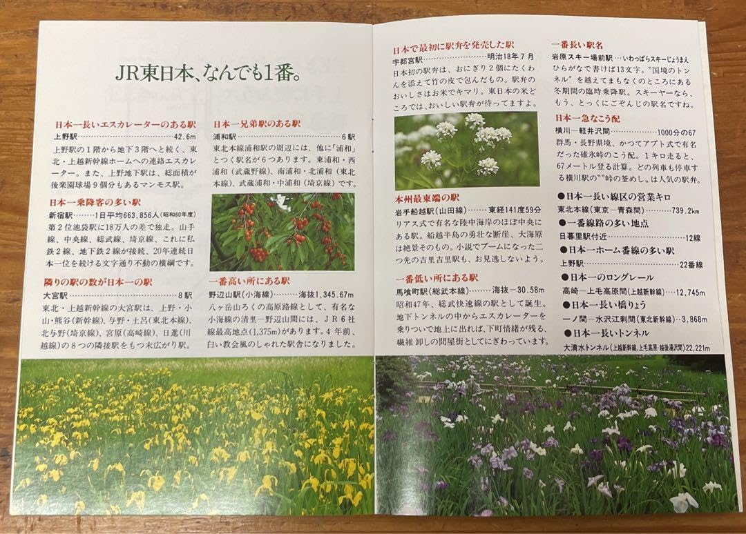 Amazon.co.jp: JR東日本創立記念 EEきっぷ : おもちゃ