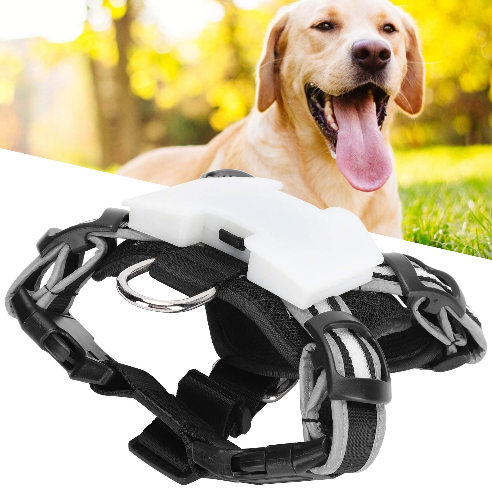 Pettorina di sicurezza notturna con LED di ricarica USB, regolabile, riflettente, ad alta visibilità, comoda per tutte le razze (S)
