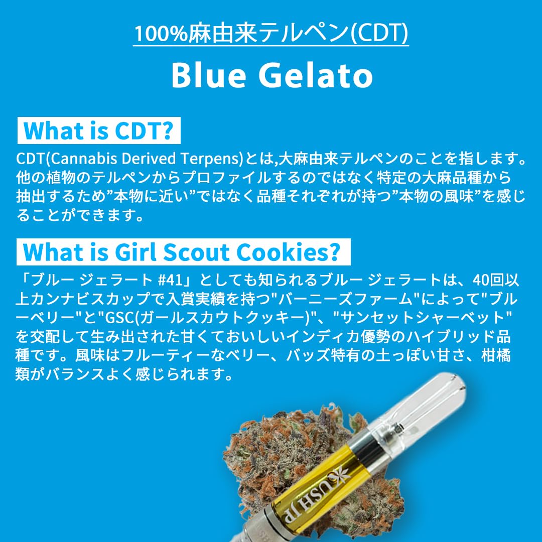 Amazon | 【KUSH JP】 CBNリキッド 高濃度 CBN -PRO- 【改正基準適合