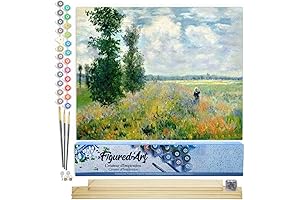 Modern Monet Paint by Numbers for Adults: Unleash Your Inner Artist with...