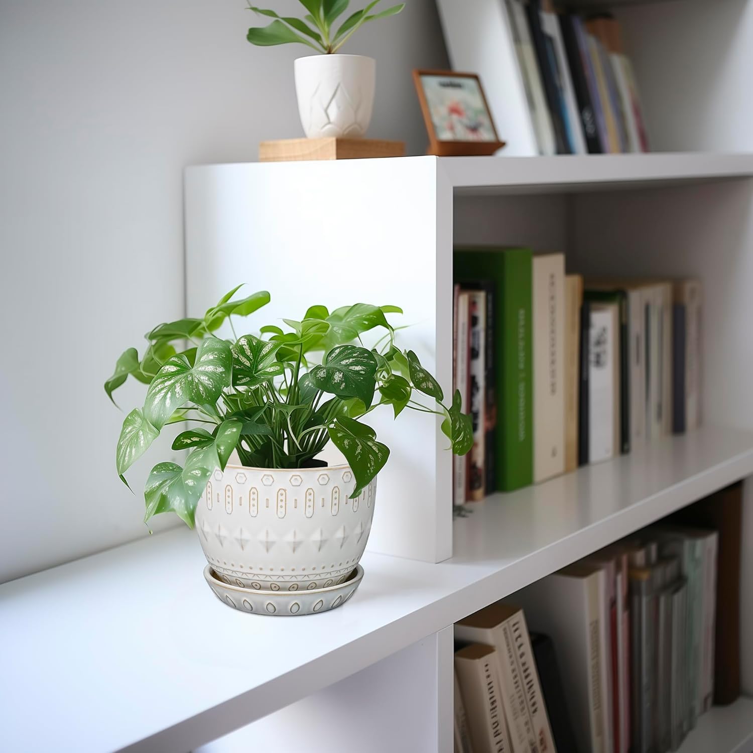 G EPGardening Ceramic Plant Pot - Succulent Pots with Drainage Hole and Saucer 5 Inch Planter for Indoor Plants Outdoor Decorative Round Flower Pot White - Image 5