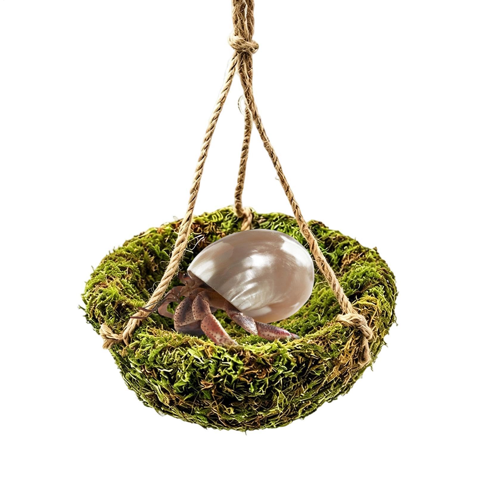 Hamac dragon barbu pour le bonheur des geckos léopards et caméléons