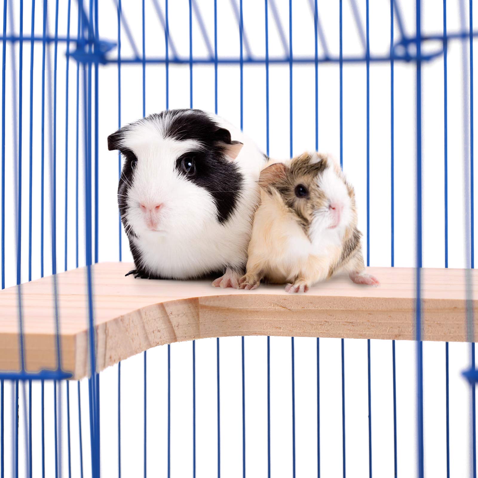 Buy Bird Wood Platform, Cage Perches for Squirrel Chinchilla Rabbit