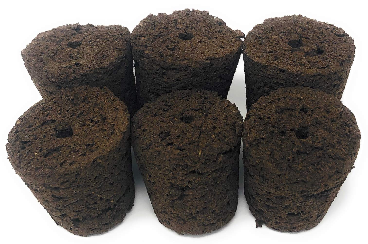 Hydrohort Oregano Seed Pod Kit is Compatible with Click