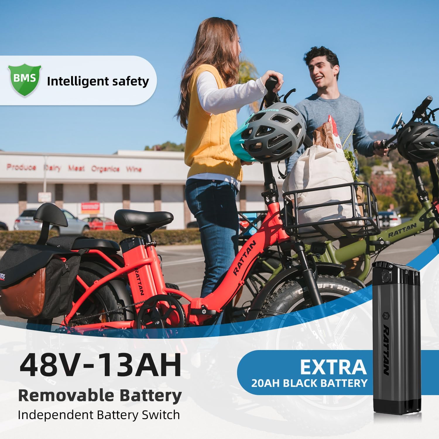 Rattan Electric Bike with 48V 13AH Removable Battery