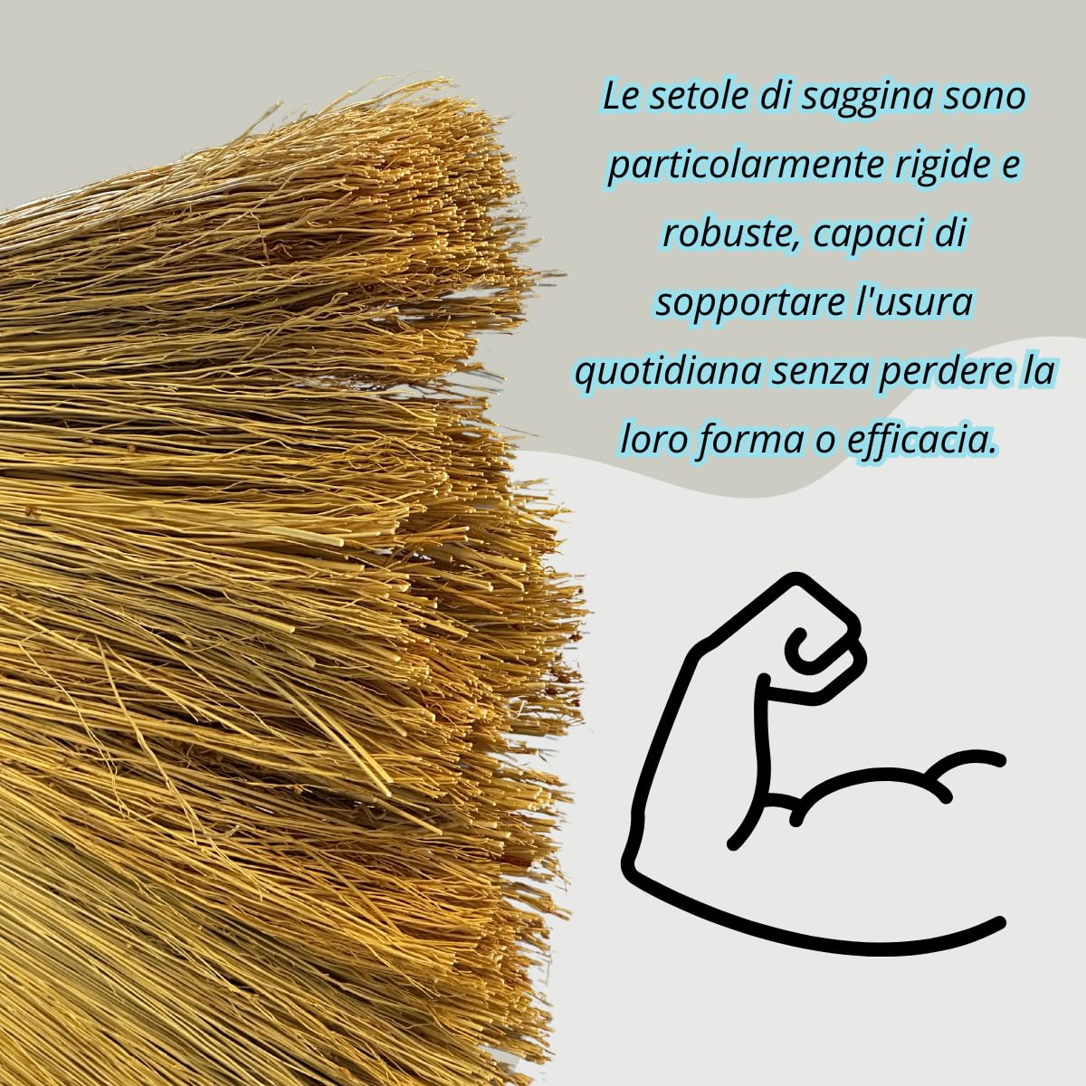 Tomaino - Set Pulizia Scopa Saggina con Paletta in Ferro zincato, Pulizia per Cortile Esterno, Giardino, Garage, Portico (Scopa con paletta)