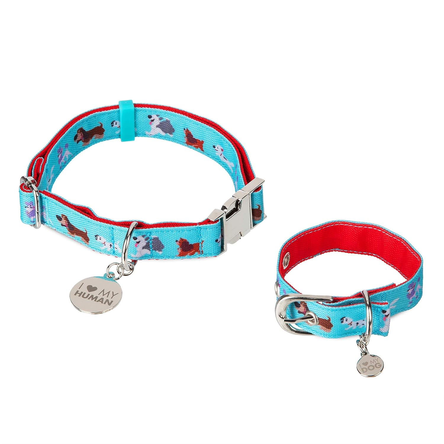 disney dog collar