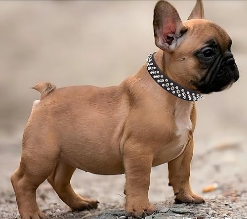 Miniatura 4 de Collar de perro con púas de piel sintética suave, hongos con remaches y tachuelas para cachorros, collares ajustables para gatos, color negro, talla