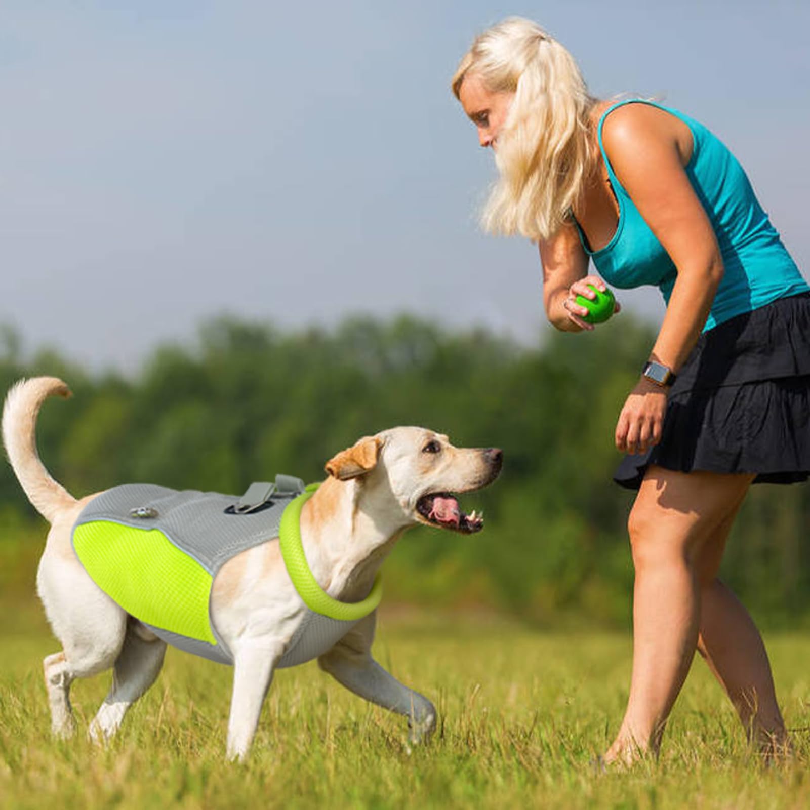 Gilet rafraîchissant pour Chien, Manteau rafraîchissant pour Chien avec Laisse, Manteau rafraîchissant pour Chiens de Petite, Moyenne et Grande Taille, Veste rafraîchissante légère pour chie