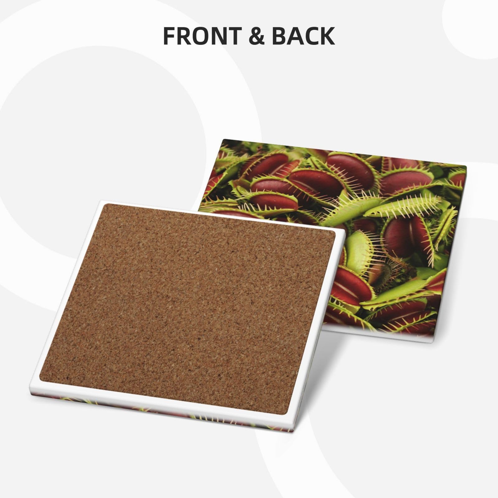 Set di 4 sottobicchieri in ceramica con stampa di piante carnivore