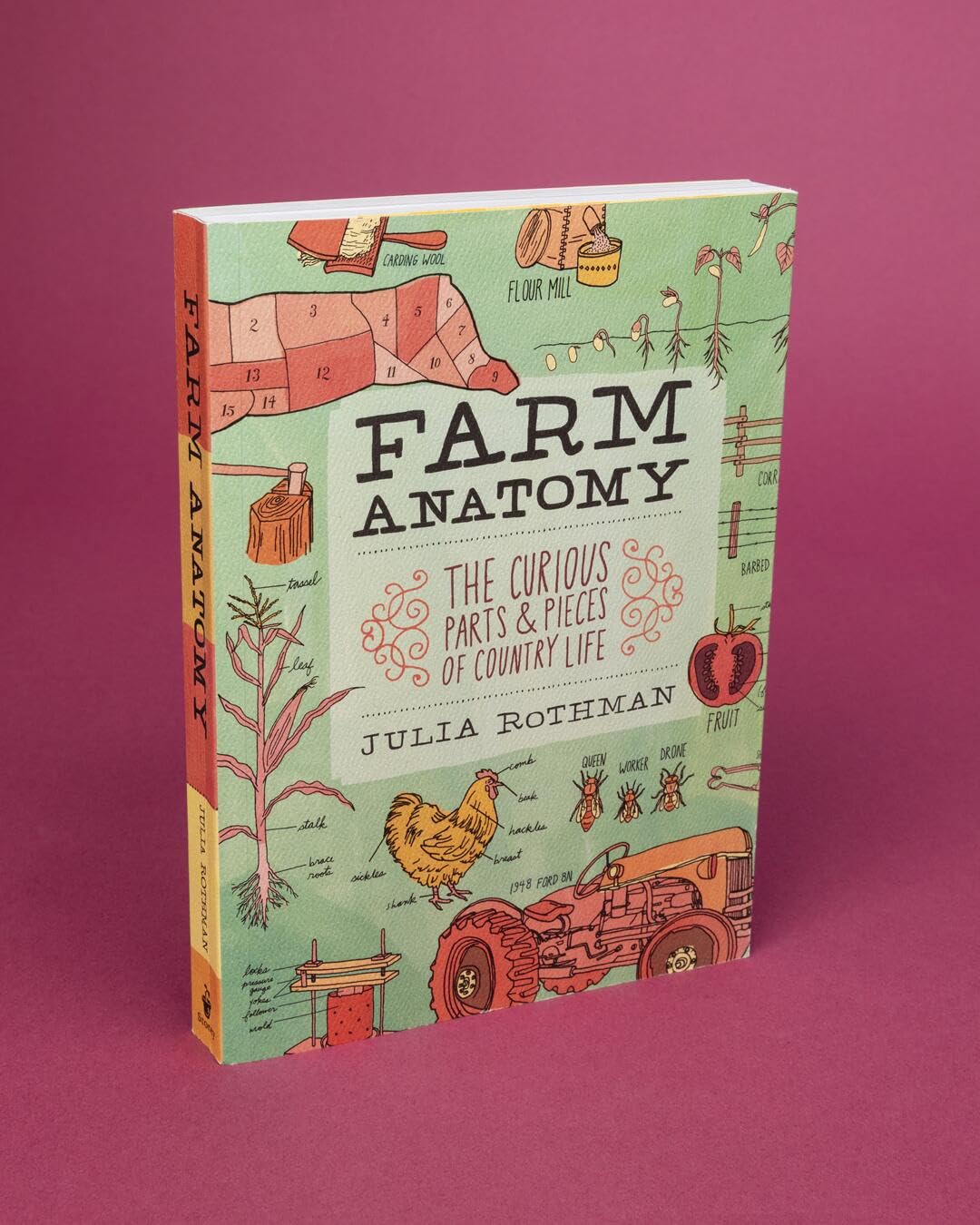 Amazon.co.jp: Julia Rothman: 本、バイオグラフィー、最新アップデート