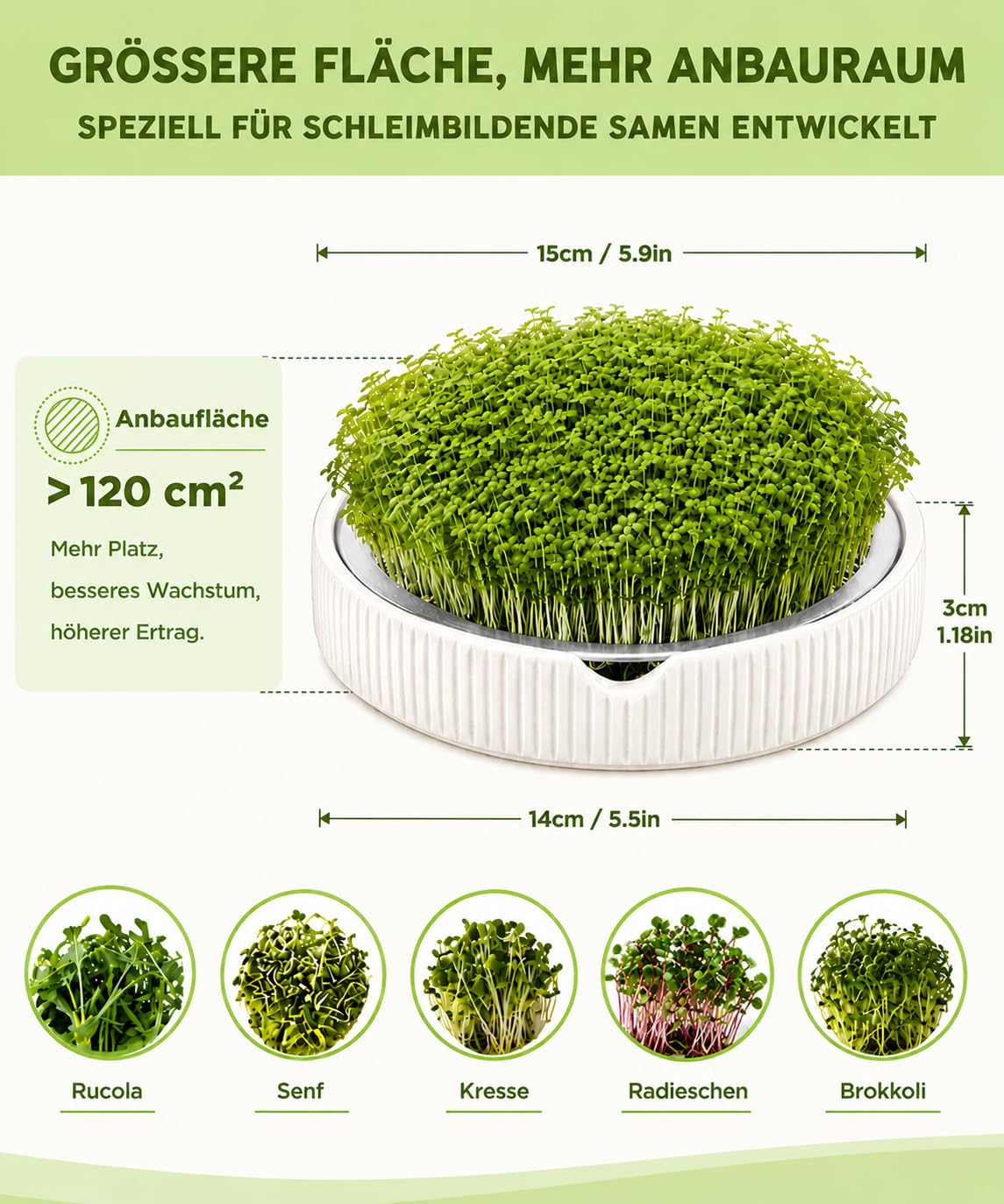 ecooe Kresse Anzuchtschalen 2er Set –Ø 15 cm Kressesieb mit Edelstahlsieb, Keimschale mit Pflanzanleitung, Microgreens Anzuchtschalen, keimglas für Sprossen, Weiß Premium Keramik sprossenglas