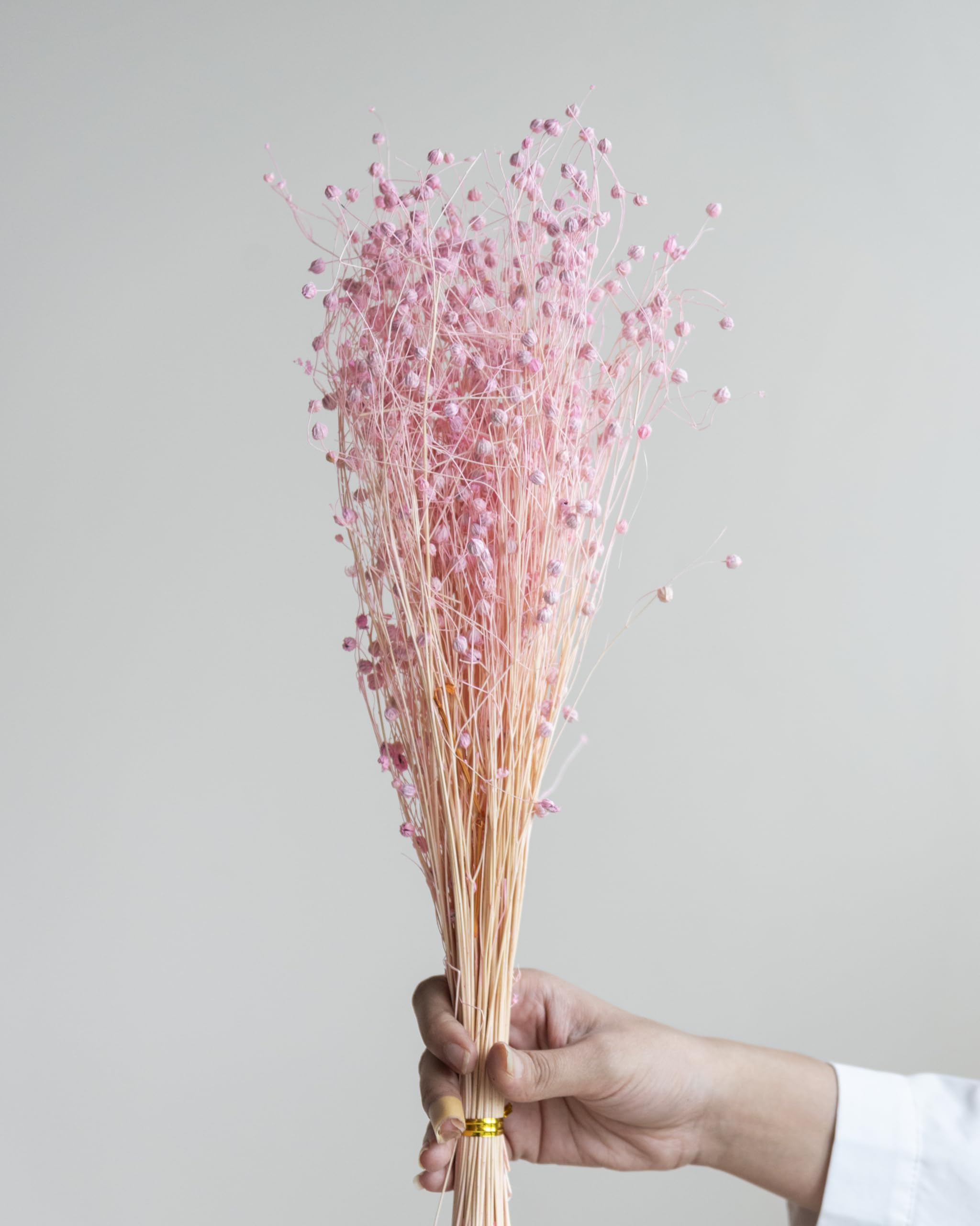 Gold Lino Grass | Pink Lino Grass (100 Grams)| Eco-Friendly Flowers for Home Dcor | Vase Filler for Home-image-12
