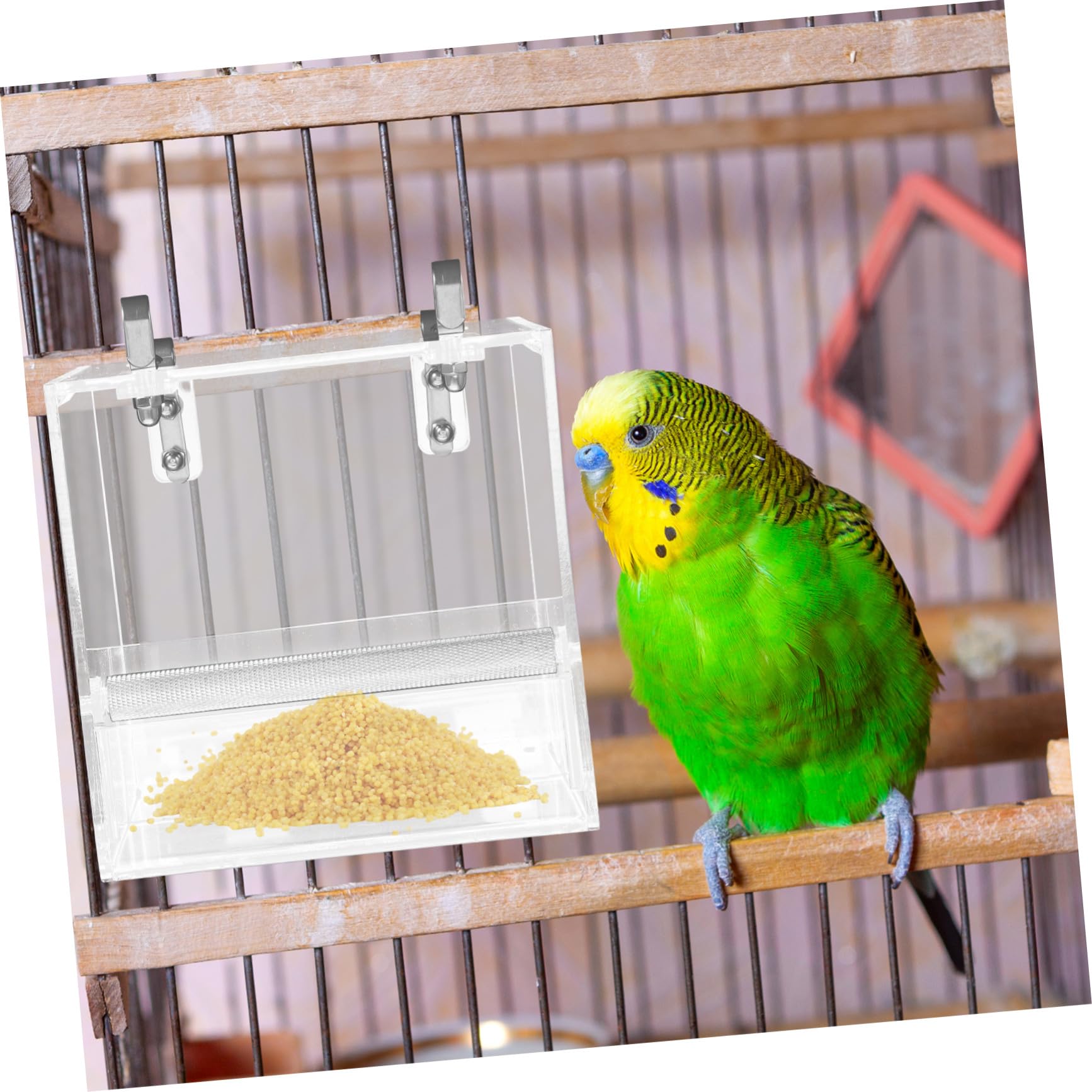 Mangeoire à Oiseaux Automatique Suspendue Plastique Perroquet