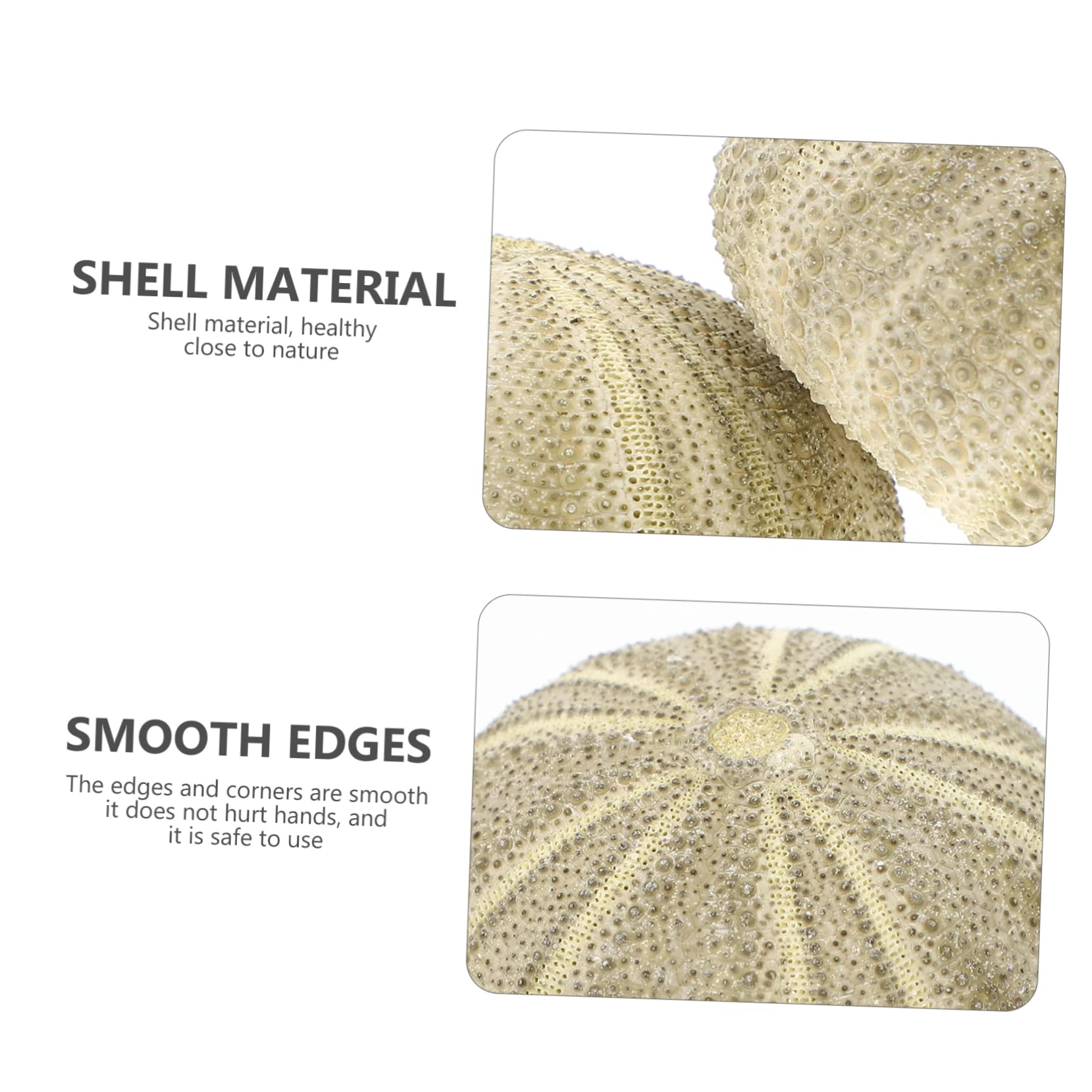 VANZACK 24pièces Décorations Ornements pour Bureau Et Aquarium Support Naturel pour Plantes Aériennes pour Artisanat