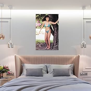 Amazon.co.jp: かとうれいこ絵画ポスター下着セクシー写真 部屋