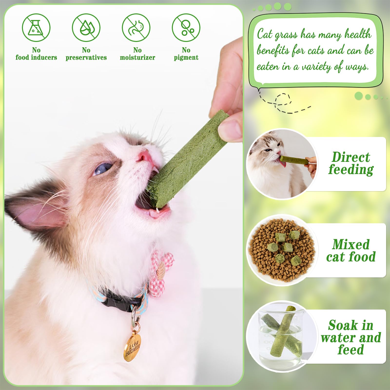 Bastoncini di Erba Gatta, 12 Pcs Stick Gatto Snack, Snack Liofilizzato con Erba Gatta per la Pulizia dei Denti, Promuovere l'assorbimento dei Nutrienti e Migliorare la Digestione