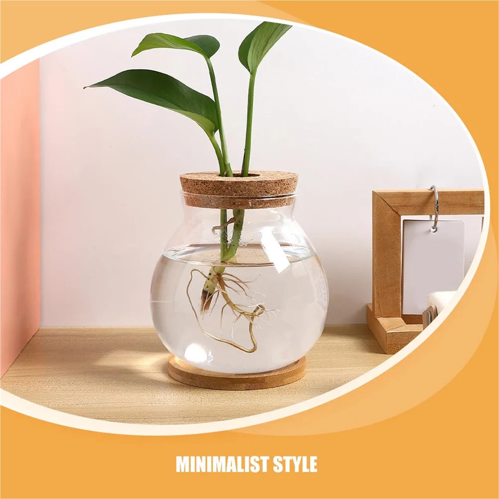 Vase Hydroponique Verre Vase hydroponique en Verre Transparent, Design for Plantes d'intérieur, Station de Propagation Bureau, décor esthétique, Utilisation Polyvalente