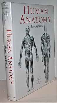 ANATOMY FOR THE ARTIST　解剖デッサン集 ANATOMY FOR THE ARTIST 解剖デッサン集
