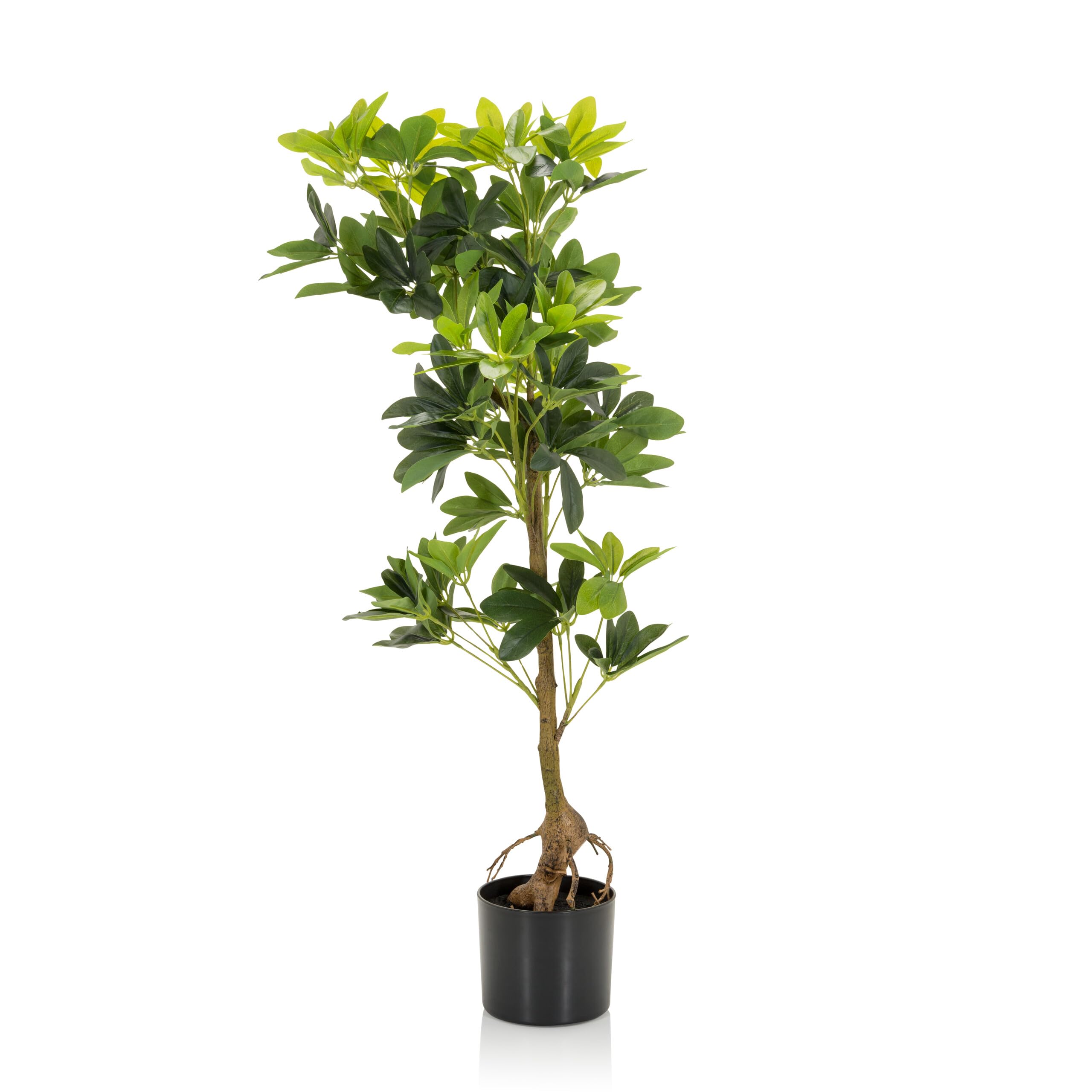 HJH Office 871015 Pianta artificiale SCHEFFLERA Aralia artificiale altezza 100 cm Pianta artificiale albero decorazione ambiente