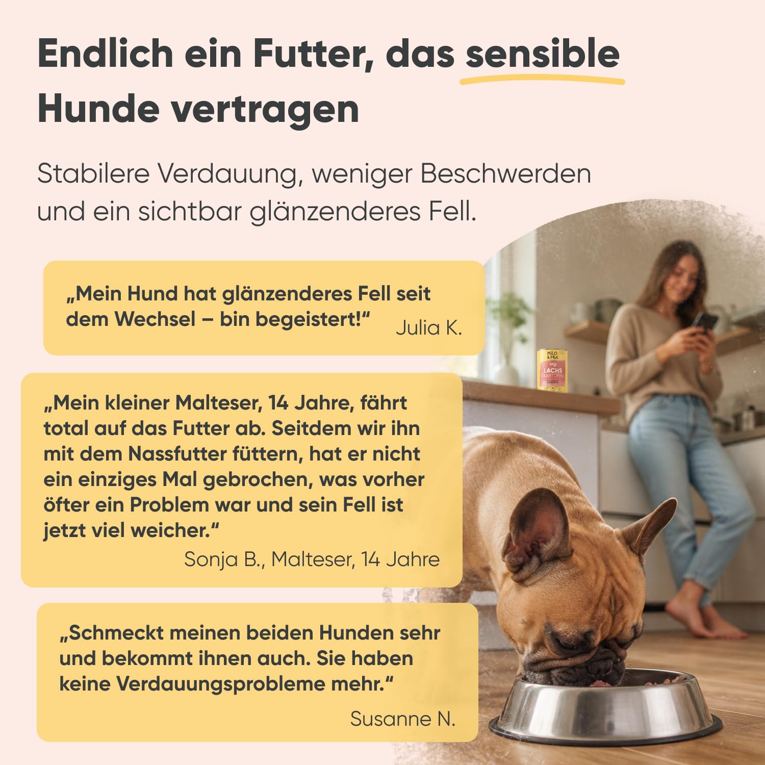 Hundefutter nass mit Lachs & Kartoffel, getreidefrei, 24 x 400 g