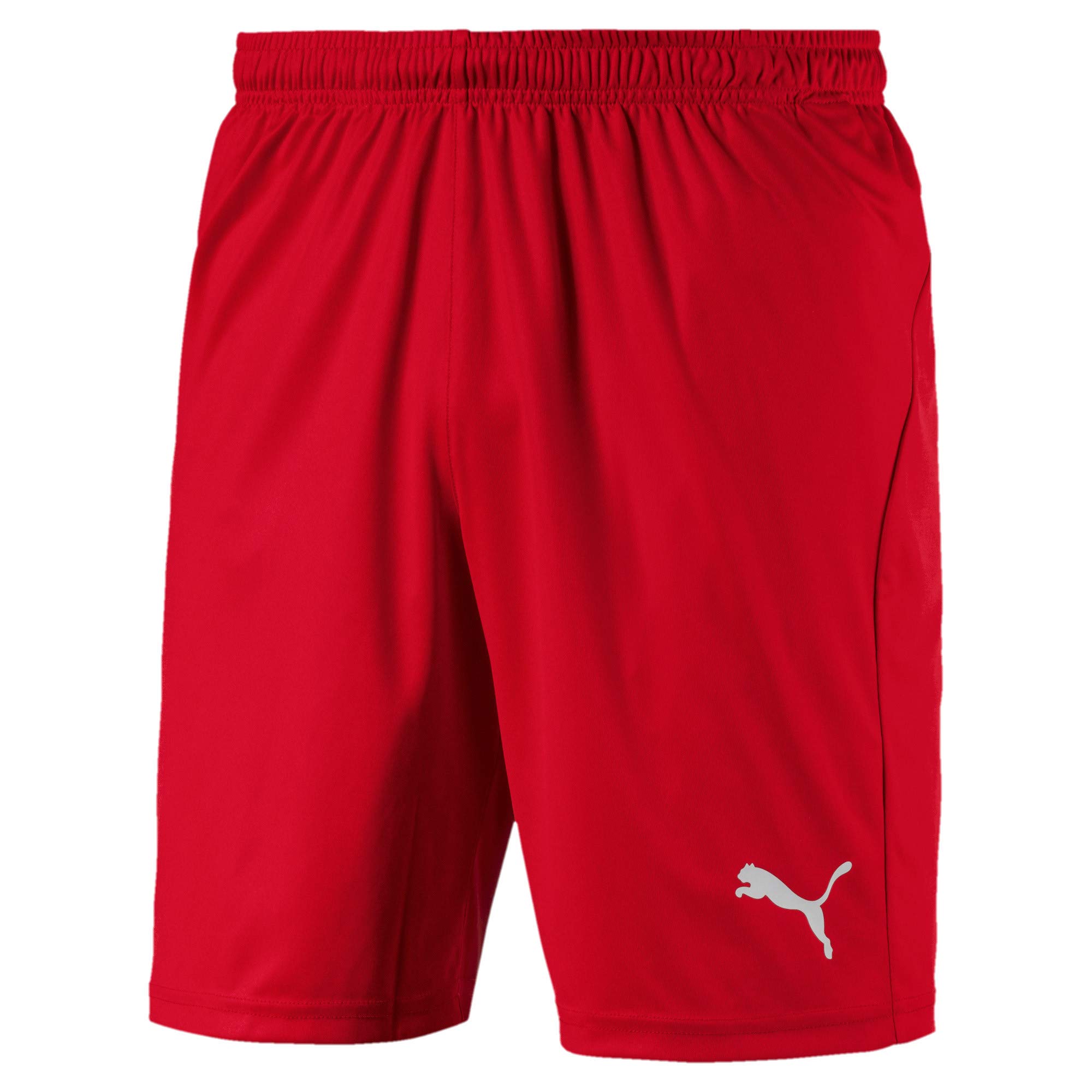 PUMA LIGA Shorts Core