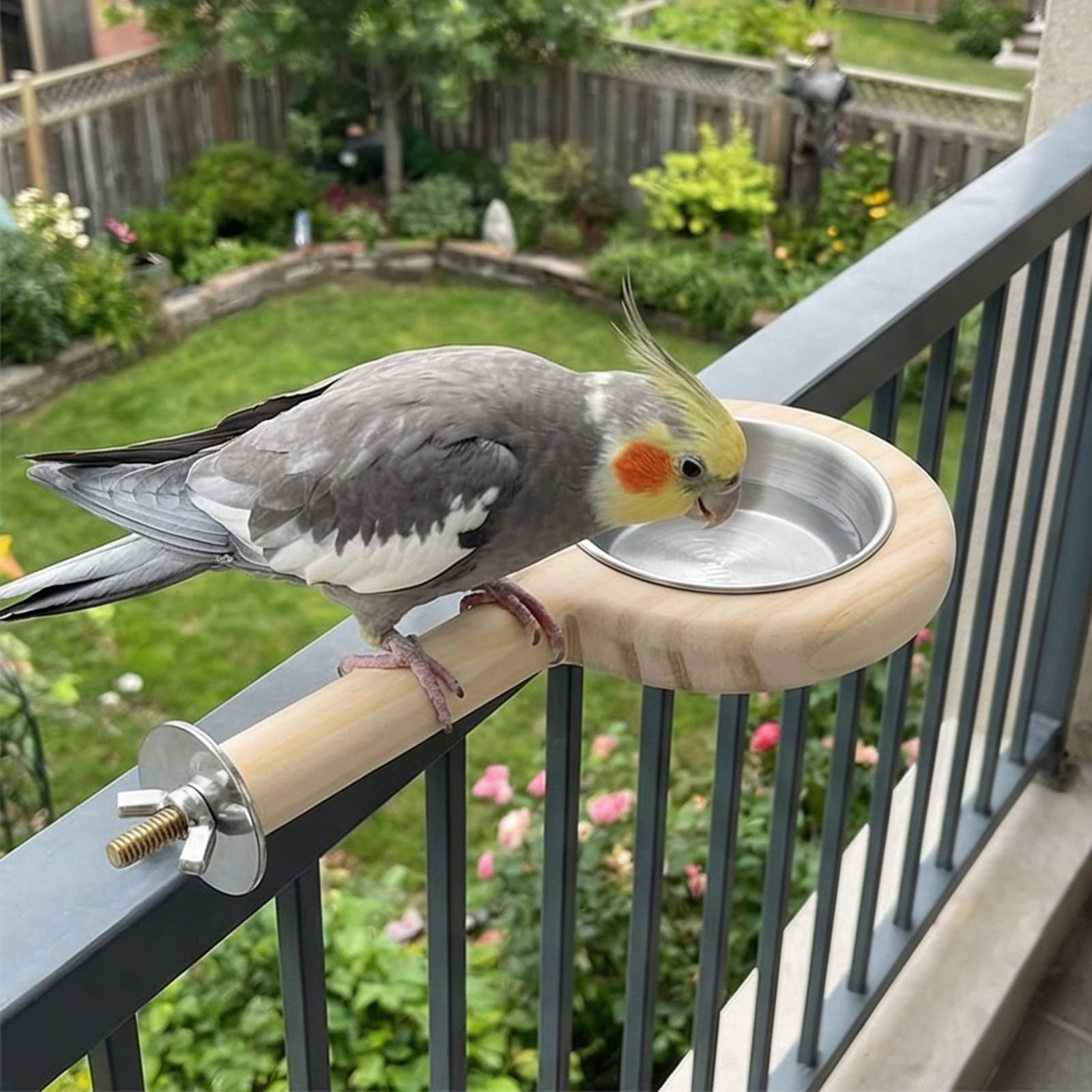 Supporto in legno per animali domestici, mangiatoia per uccelli con ciotola rimovibile in acciaio inossidabile per gabbia per pappagalli, facile installazione contenitore per alimenti per