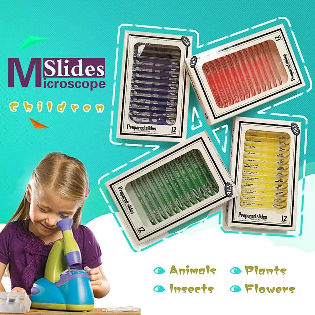 48Pcs Prepared Microscope Slides Set | Animal, Plant, Insect & Flower ...