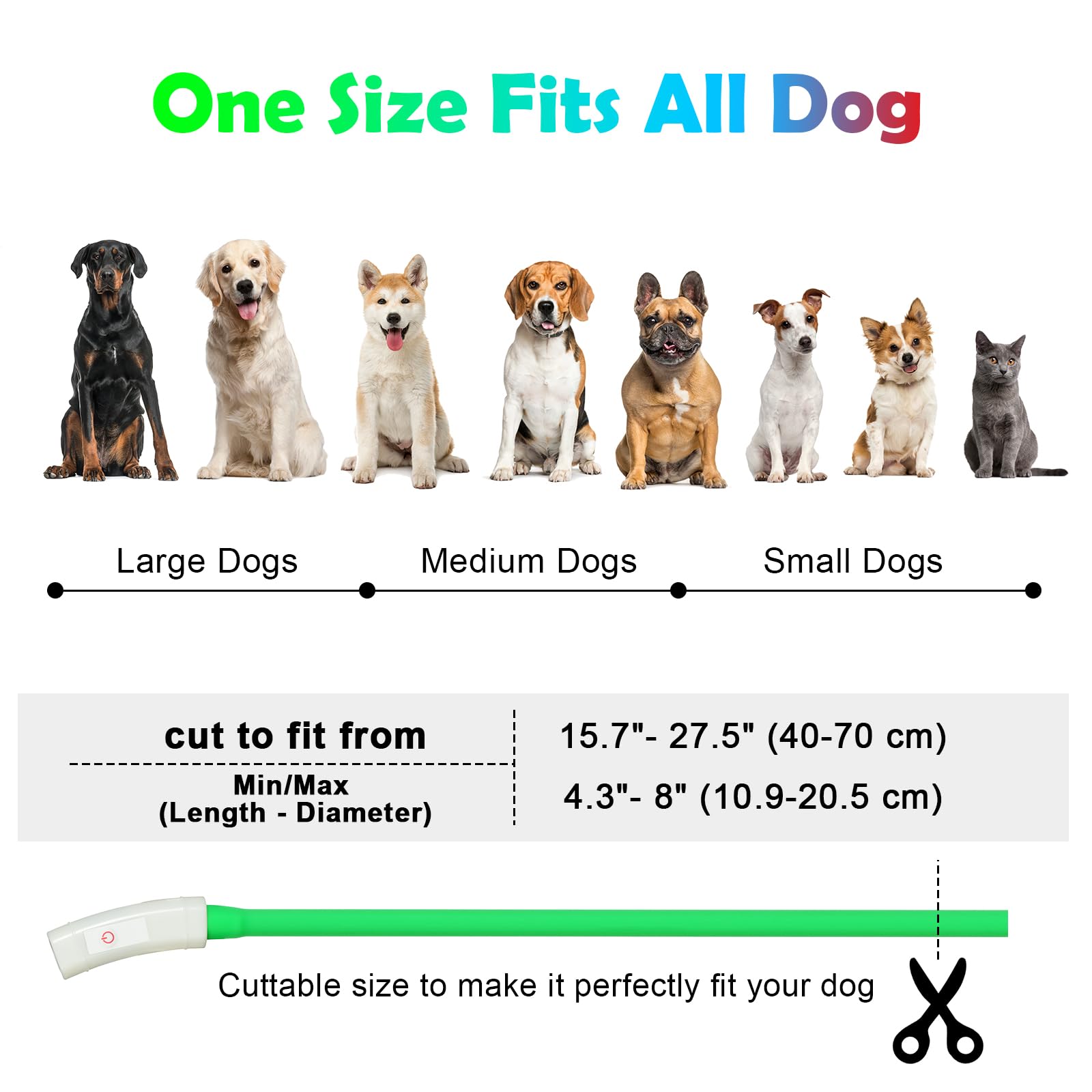 AUAUY Collare Luminoso per Cani, Collare per Animali Domestico LED Ricaricabile USB, Collare di Lunghezza Regolabile con 4 Modalità Luminose per Cani di Taglia Piccola Media Grande - Verde