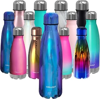 CHILLOUT LIFE 17oz Insulated Stainless Steel Water Bottle, Leak Proof | Metal Water Bottle, Keeps Drinks Cold 24H & Hot 12H, Leak-Proof Screw Lid, Perfect for School, Travel, Gym & Sports