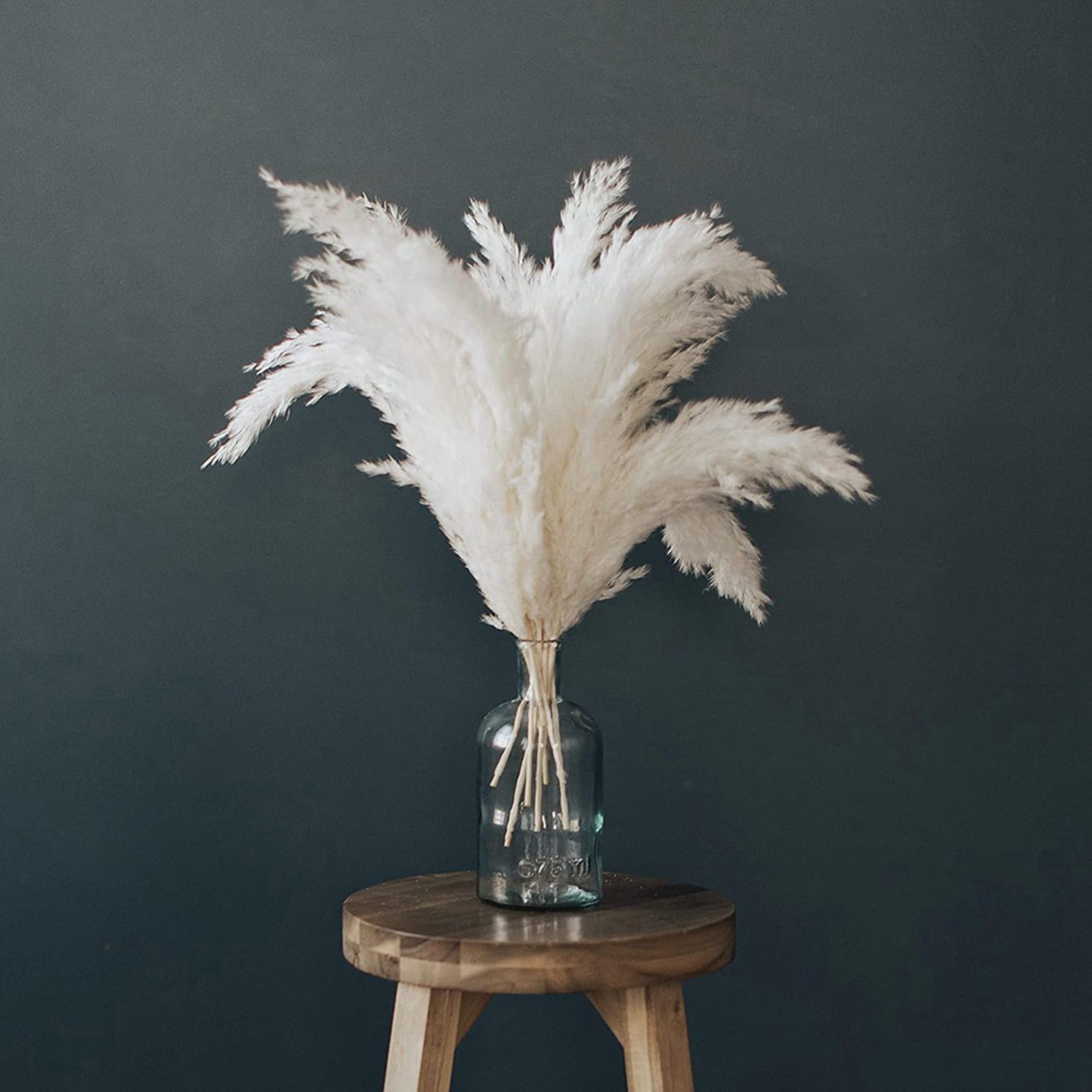 Herbe de Pampa Blanche - 50 Tiges d'herbe de Pampa Moelleuse pour Mariage, Maison et Décoration D'événement - Herbe de Pampa Séchée
