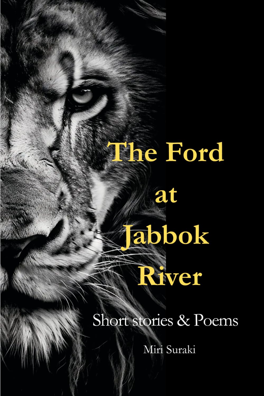 The Ford at Jabbok River: Short Stories and Poems