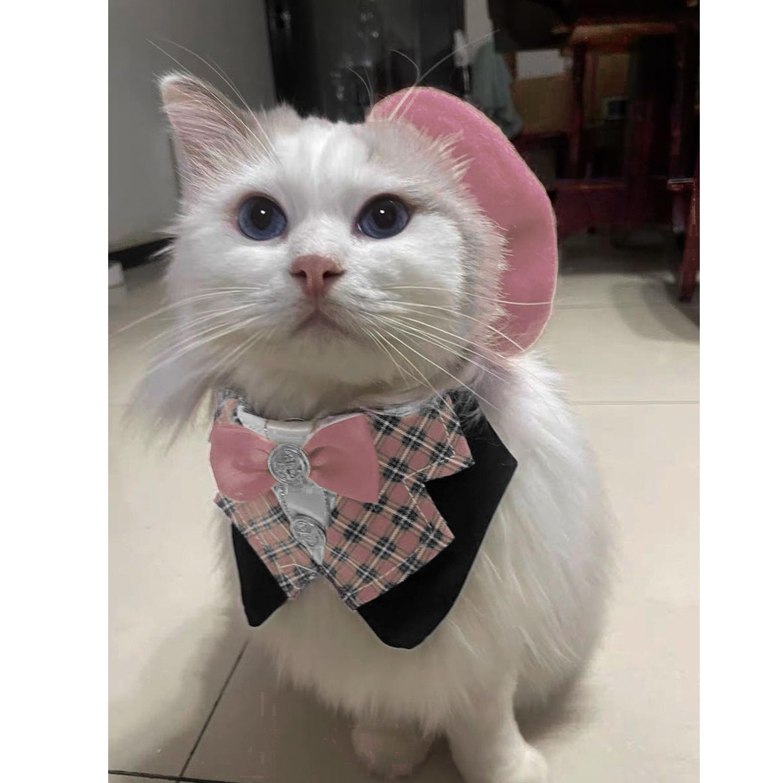 Amazon.com : ZARSIO Small Dog Beret Wool Hat Cat Fashion  display picture 2