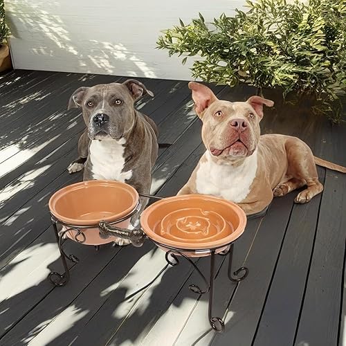 Vista 5 de Soporte elevado para cuencos para perros con 3 cuencos grandes de cerámica, estación de alimentación elevada para perros medianos y grandes, incluye