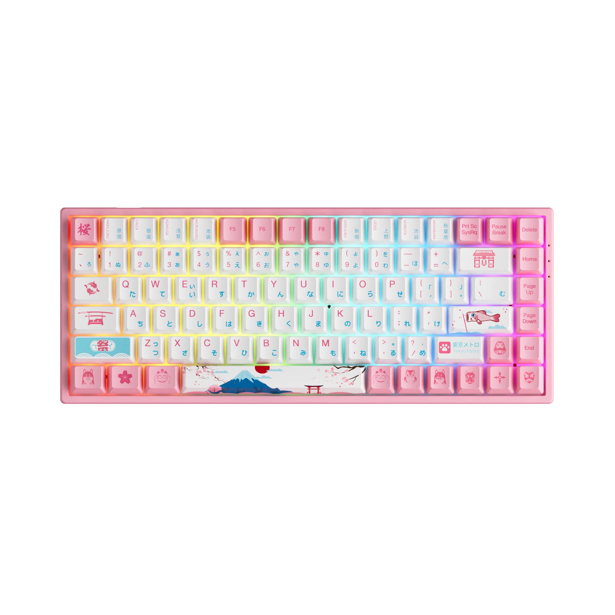 EPOMAKER AKKO 3084B Plus World Tour 75% 84-Key Hot Swappable 2.4Ghz/Bluetooth/Wired Wireless Gaming 