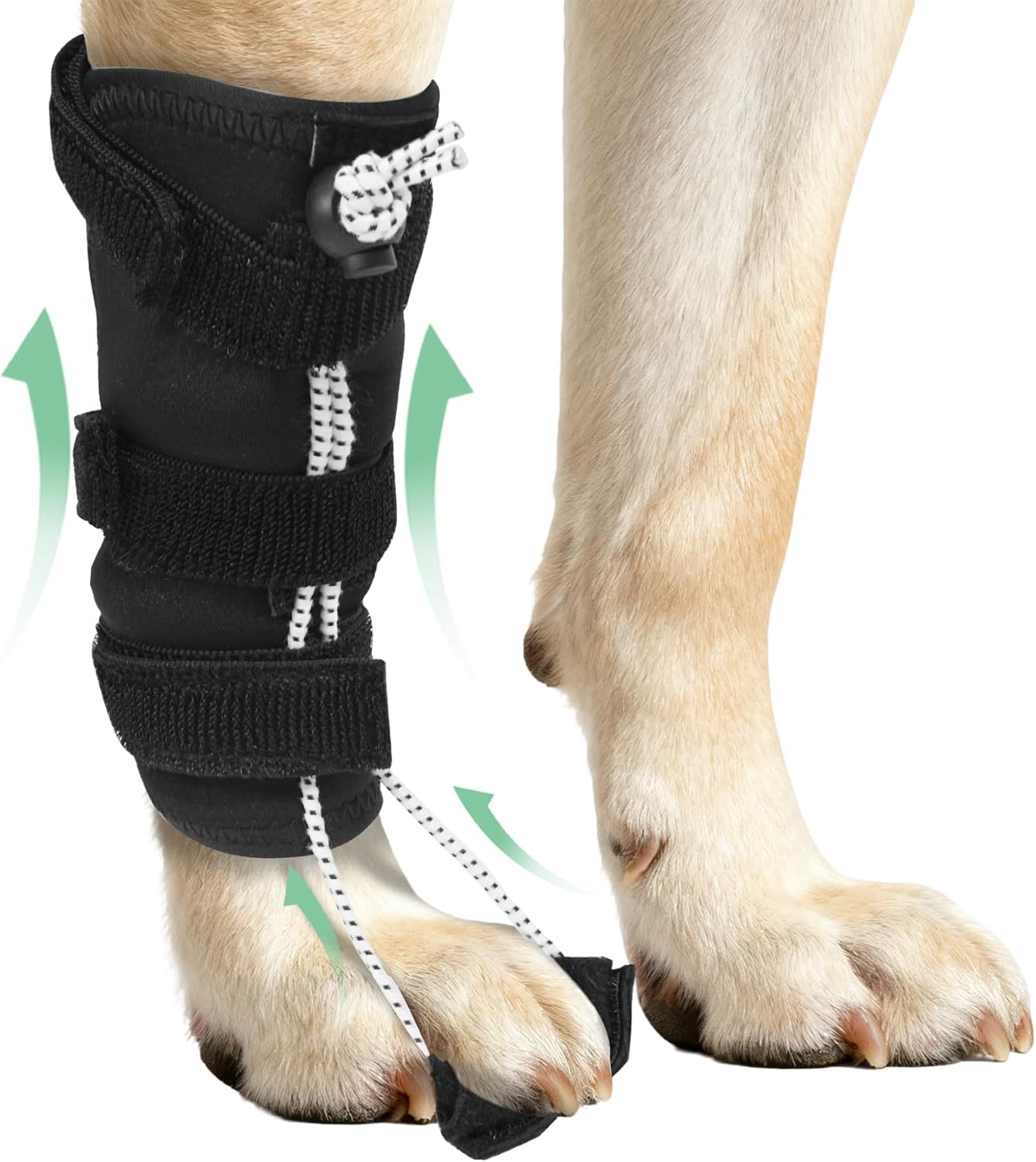 Dog Knuckling Brace, Dog Toe Grips for ACL Injury, Hock Fracture, Arthritis & Meniscus Tears, Rear Legs, XL