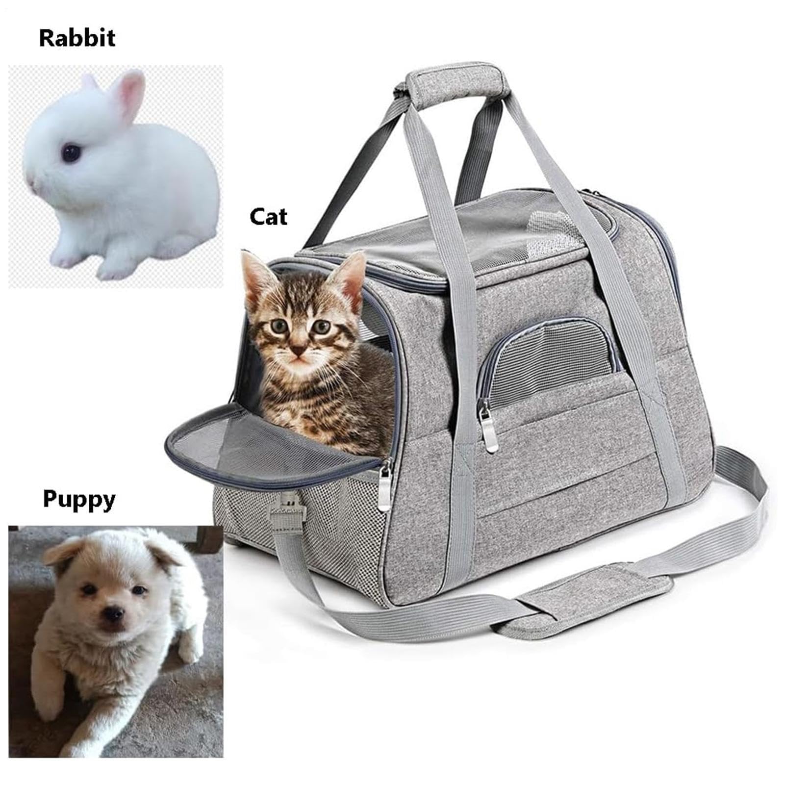 Borsa da Trasporto per Gatti Morbido da Piccoli Animali | Trasportino A Spalla da Cuccioli Per Viaggi Vacanze Passeggiate Escursioni Viaggi Uscite Fuori Porta Campeggio Picnic