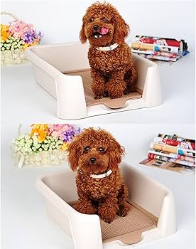 Amazon | 大型犬用トイレ、三方柵トイレ、犬 トイレ トイレを