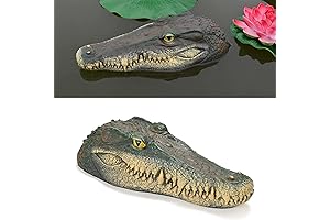 Poolfront: The Ultimate Duck Deterrent