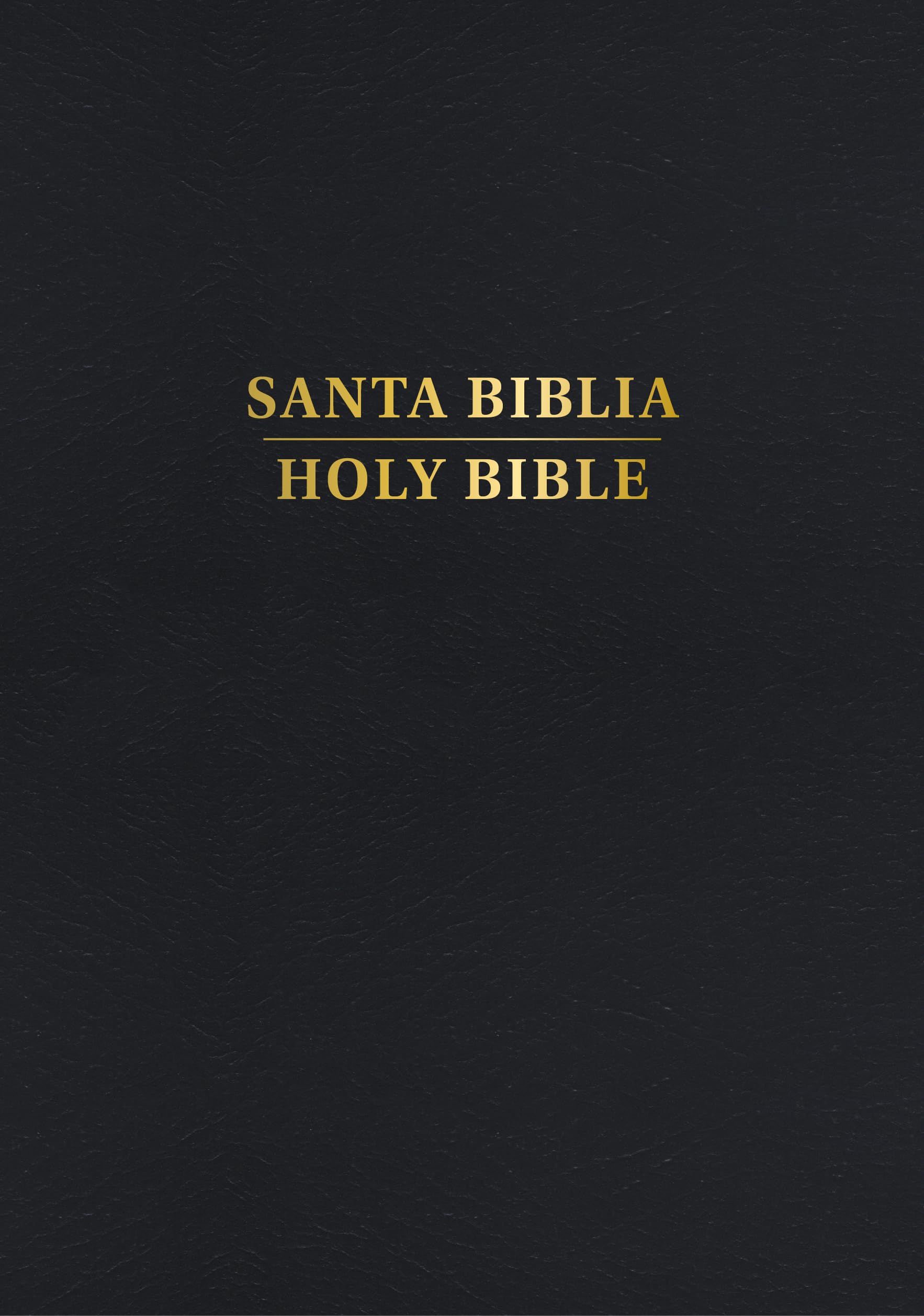 Rvr 1960/KJV Biblia Bilingüe Tamaño Personal, Negro Tapa Dura (2024 Ed.)