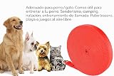 Ver la foto 4