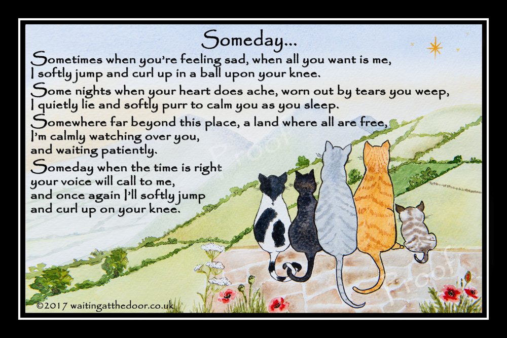 Countrystyle Gifts Black Cat Memorial Rainbow Bridge Pet Memorial Sympathy Print (Unframed) - Someday